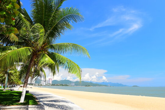Nha Trang city, Vietnam - October 29, 2024 : Overlooking the beautiful coast of Nha Trang with palm trees on the beach with deck chair and parasol. Beautiful white sand tropical beach in coastal city.