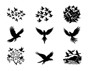 Flying Bird Silhouette Vector Set Isolated on White