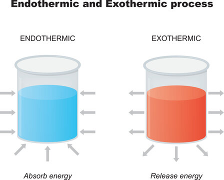 Thermodynamics. Chemical or a physical process. Endothermic reaction (absorbs thermal energy) and exothermic process (releases energy). Vector illustration