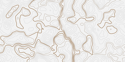 A topographic map illustration with contour lines on a white background showing elevation and terrain path seamless contour map background.