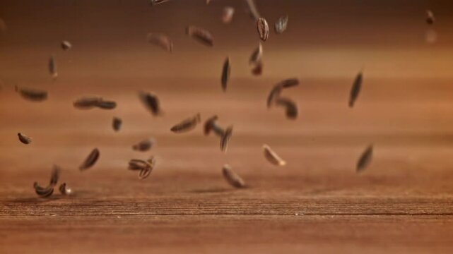 Cumin falls on a wooden table. Filmed on a high-speed camera at 1000 fps. High quality FullHD footage