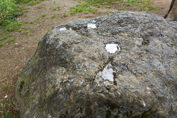 View of multiple rain-filled basins scattered across a large rock in nature