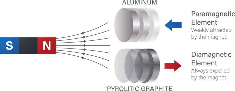 Ferro, ferri, dia, paramagnetic force vector illustraiton. Aligned domain unaligned domain. Curie Weiss law. Vector illustration of the law of magnetism.