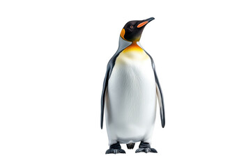 Fototapeta premium Standing emperor penguin looking up on transparent background