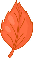 Fototapeta premium Red Leaf - Hand-drawn autumn nature illustration including leaves, mushrooms, and forest elements in colorful cartoon style