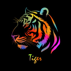 Tiger colored head on black background. hand drawing. Not AI, Vector illustration