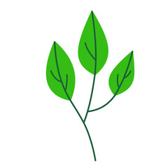 Fototapeta premium Leaf vector colorful on transparent background