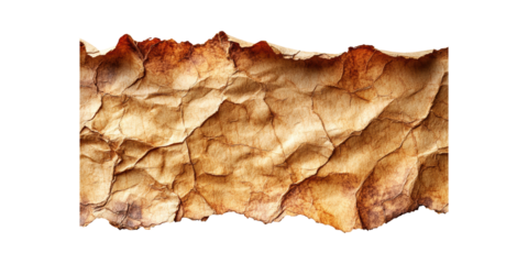 Aged And Textured Parchment Paper. Vintage And Antique Design Element Isolated On Transparent Background
