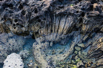 fossilized coral reef along the shore of the Caribbean Sea. weathered and eroded coastal rock formations with texture and depth abstract geological and marine background