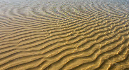 Obraz premium Abstract Shallow Water Texture On Sand Beach Beautiful Ripple Pattern