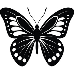 butterfly vector illustration
