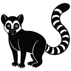 black and white lemur