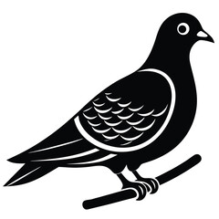 vector illustration of dove