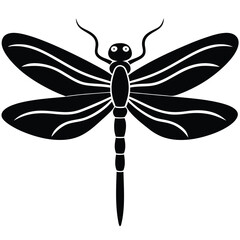 butterfly vector  illustration