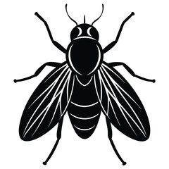 bee vector illustration