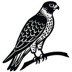 vector illustration of a bird
