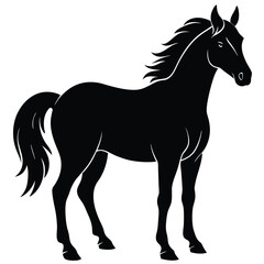 horse vector illustration
