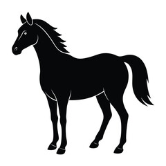horse vector illustration