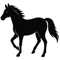 black horse vector illustration