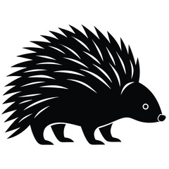 vector illustration of hedgehog