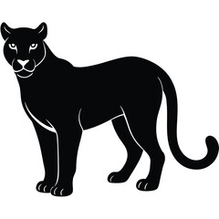 black cat vector illustration