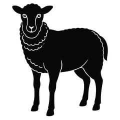 vector illustration of a sheep
