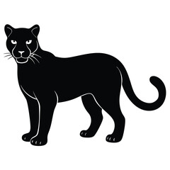 black panther vector