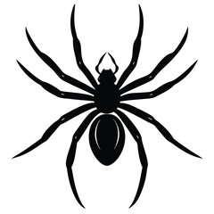 vector of a spider