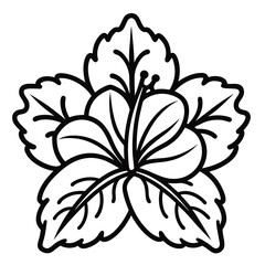 Hibiscus  flower vector image