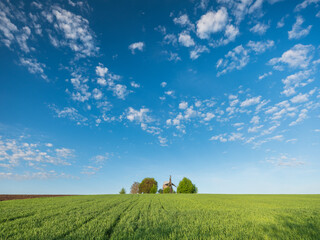 wide angle view to old wooden mill in green wheat field under blue sky with white clouds