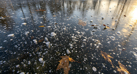 Frozen Bubbles Trapped In Ice With Leaves And Reflections On Surface