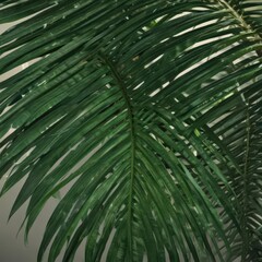 Deep emerald palm leaf, sharp detail, tropical feel ,  botany, palm,  design