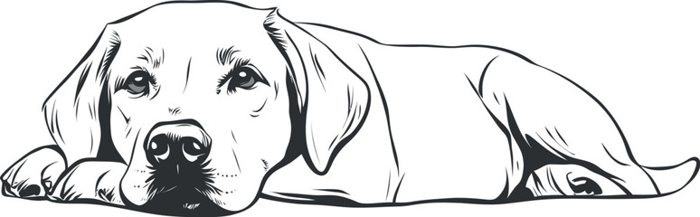 Fototapeta premium Adobe Illustrator Artwork