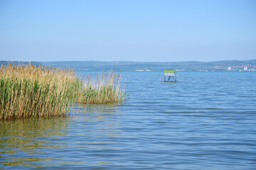 Scenic summer landscape of lake Balaton in summer, Hungary, Europe	