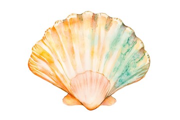 Watercolor illustration of a beautiful seashell on white background