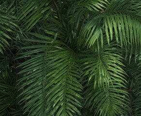 Fototapeta premium Intricate green palm frond texture, vibrant tropical detail , asset, background, lush