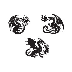 Obraz premium fire breathing dragon icons
