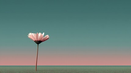 Obraz premium A solitary flower against a gradient sky, conveying peace and tranquility.