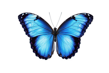 A close up of a vibrant blue butterfly with symmetrical wings against a pixelated background design