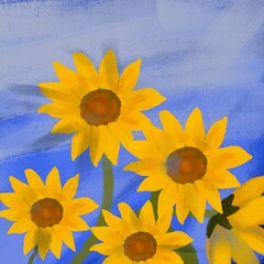Bright sunflowers under blue sky