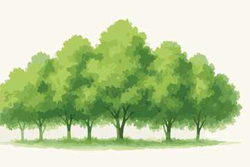 Vector watercolor green tree or forest side view isolated on white background for landscape and architecture drawing,elements for environment or and garden,Shrub for section