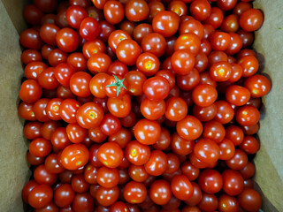 Red little cherry tomatoes are in a box on the store counter
