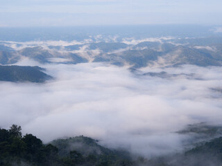 Beautiful landscape in the morning at the high mountain caladium flower garden in Mae Rim District, Chiang Mai Province, Thailand.