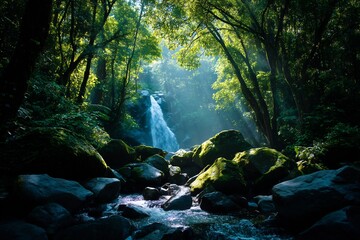 jungle waterfall flowing over mossy rocks sunlight