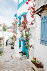 Fototapeta premium Charming street in a Mediterranean village adorned with colorful flowers