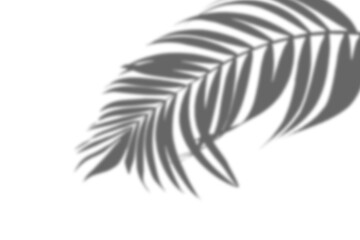 Shadow Photo Overlays Photoshop Effect Layer Image Photography 