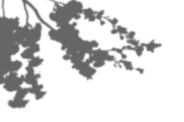 Shadow Photo Overlays Photoshop Effect Layer Image Photography 