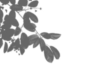 Shadow Photo Overlays Photoshop Effect Layer Image Photography 