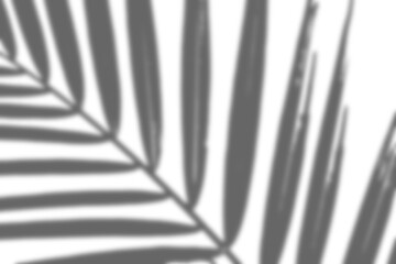 Shadow Photo Overlays Photoshop Effect Layer Image Photography 