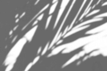 Shadow Photo Overlays Photoshop Effect Layer Image Photography 